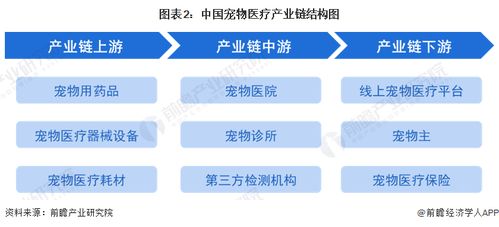 预见2023 2023年中国宠物医疗行业全景图谱 附市场规模 竞争格局和发展前景等